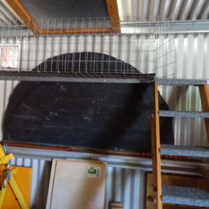 Photo of a cat for Cat Treadmill, Which I Will Not Use