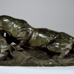 Photo of a cat for Bronze Trophy, Best at Doing Nothing